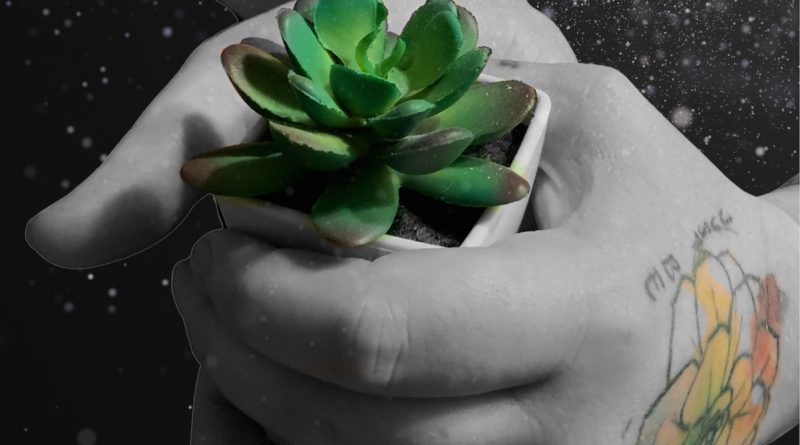 Just Be Promo with hand and small succulent